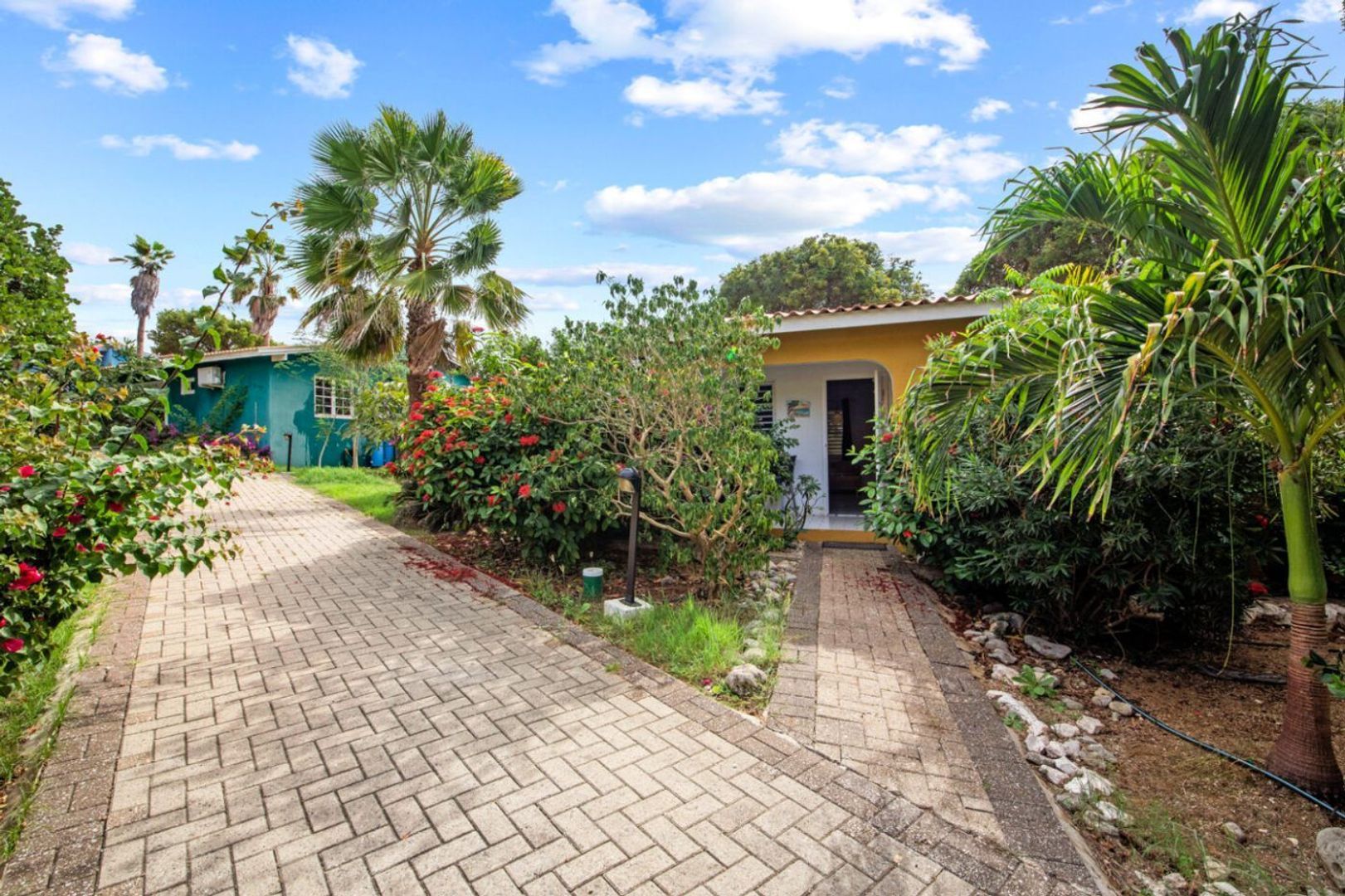 Seru Coral Geel, Seru Coral foto-1