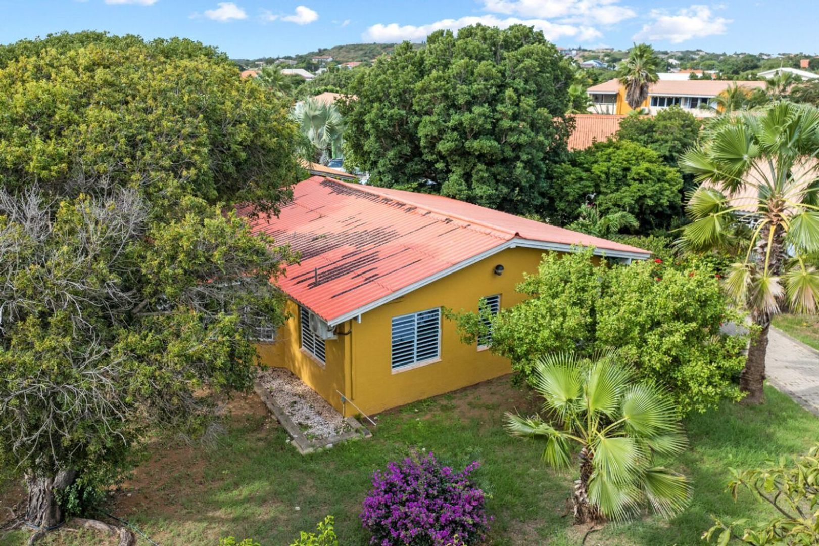 Seru Coral Geel, Seru Coral foto-2