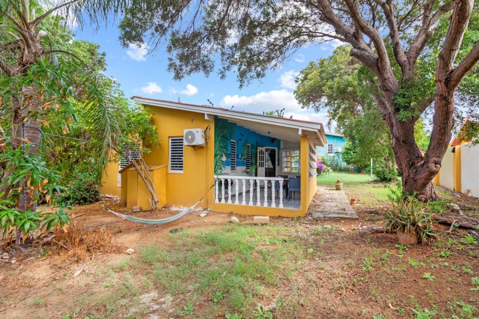 Seru Coral Geel, Seru Coral foto-18