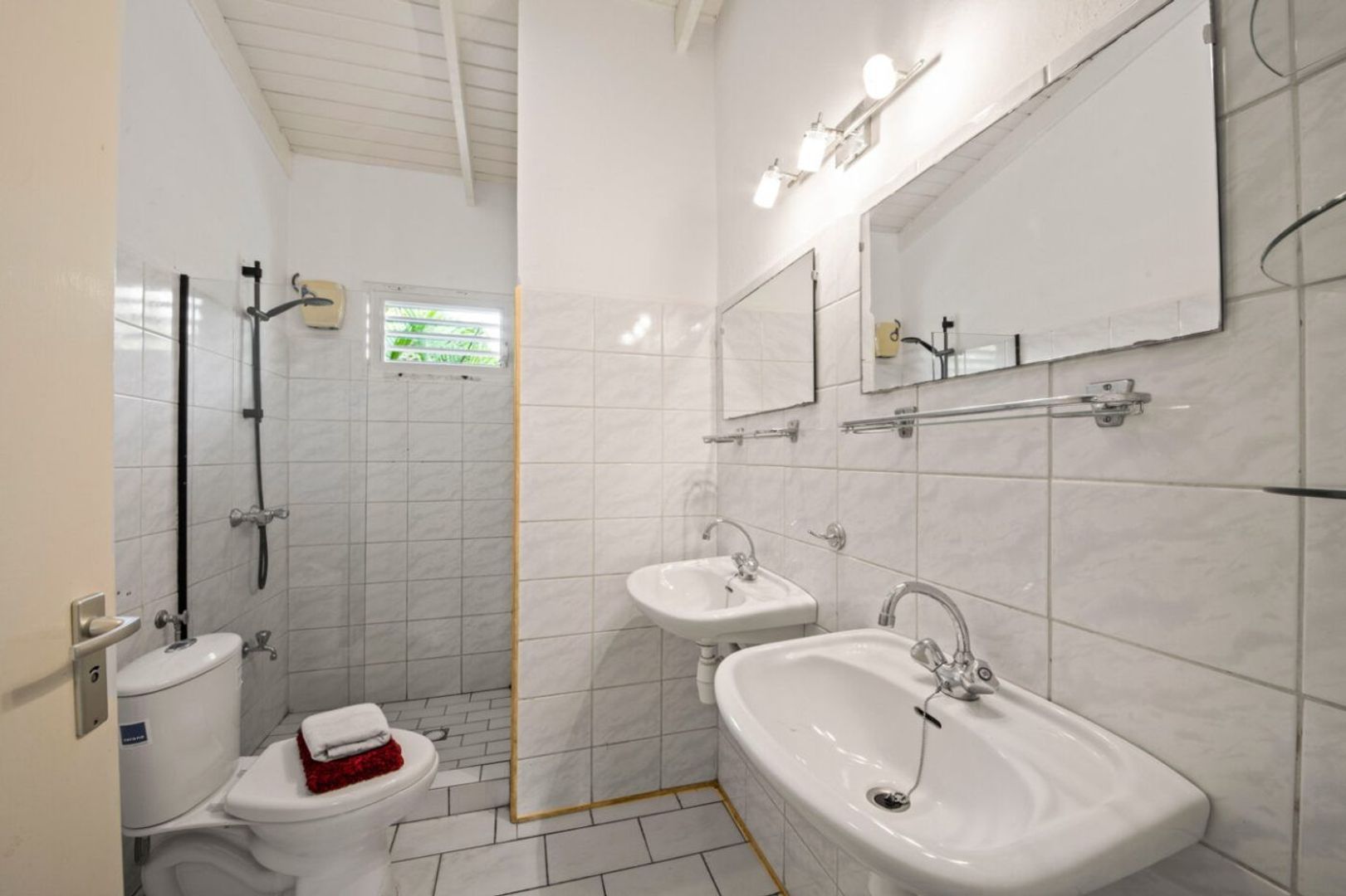 Seru Coral Geel, Seru Coral foto-15