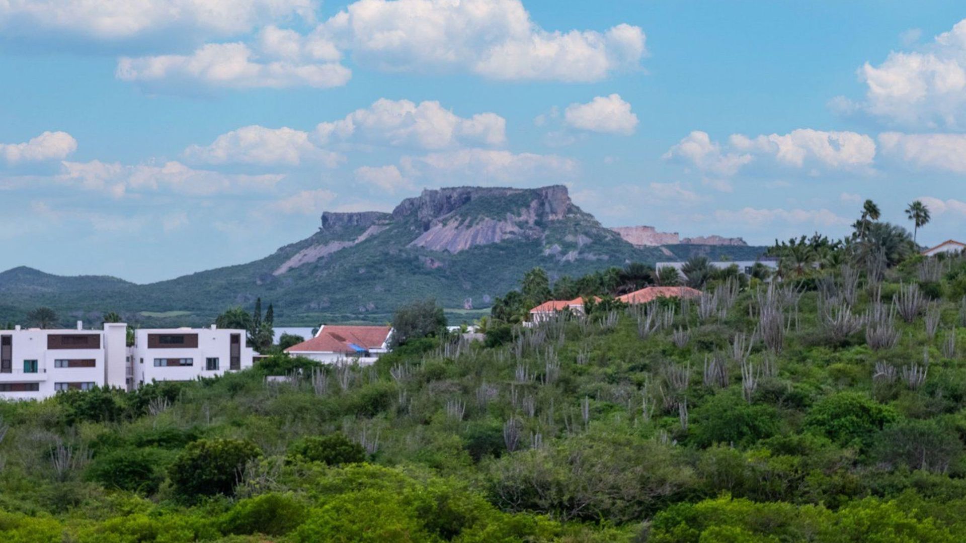 Kaya Mendelssohn 158, Cas Grandi foto-20