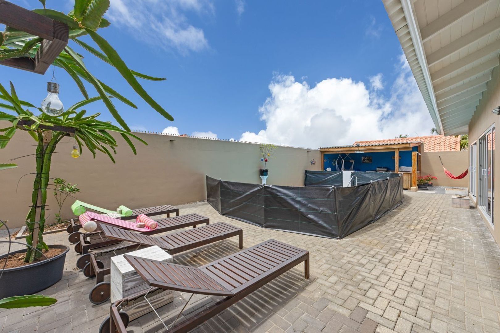 Kaya Galearis 10, Santa Catharina foto-3