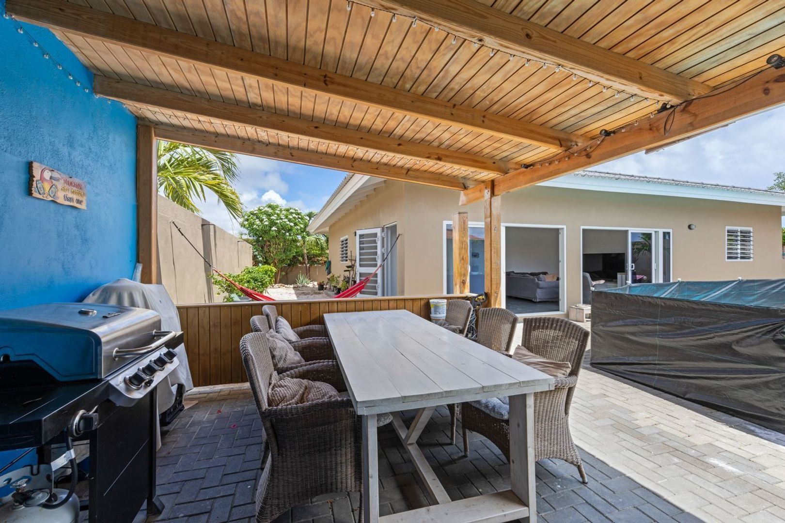 Kaya Galearis 10, Santa Catharina foto-22