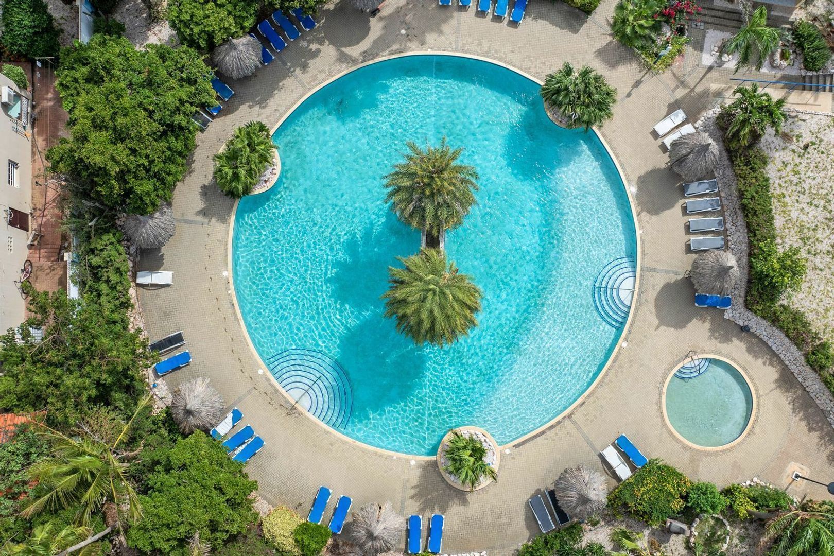 Seru Coral 128, Koraal Partier foto-2