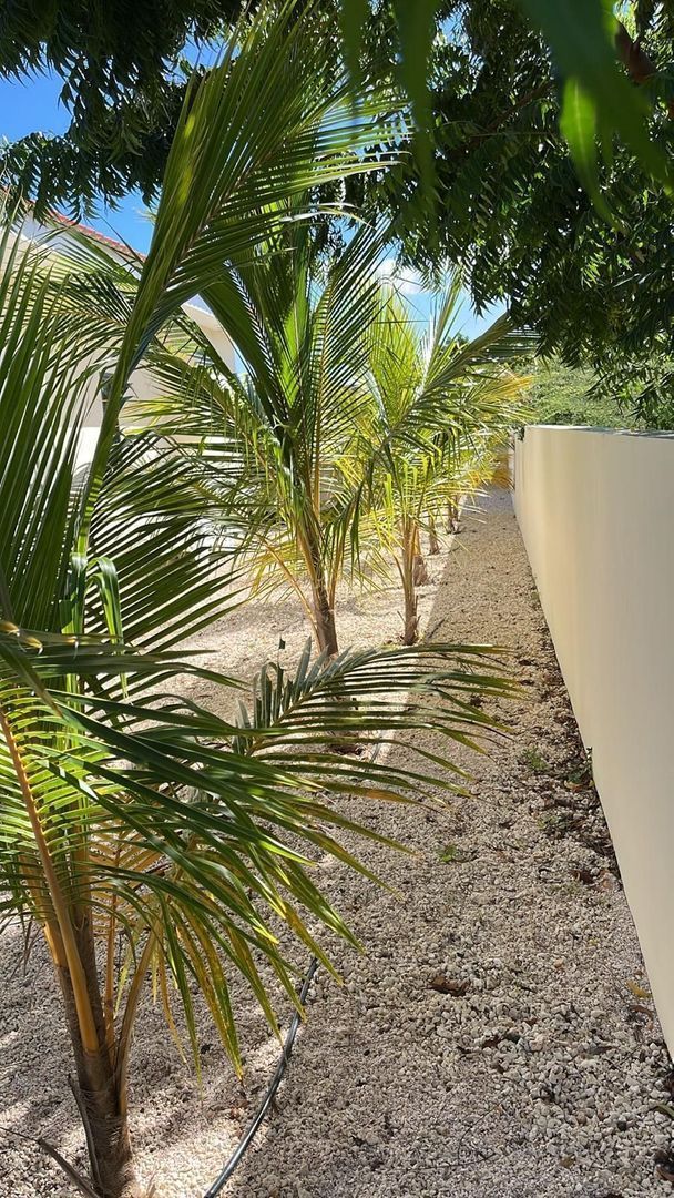 Grote Berg 3, Grote Berg foto-31