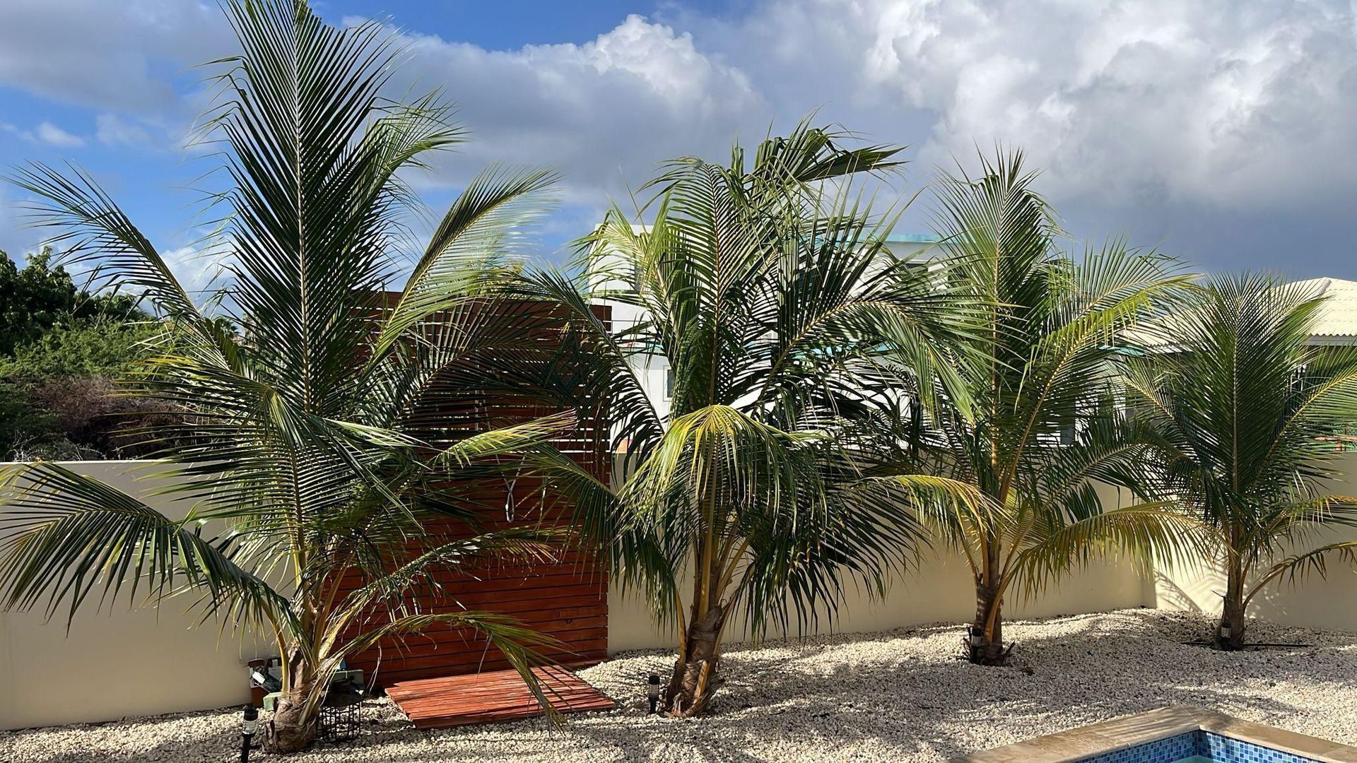 Grote Berg 3, Grote Berg foto-25