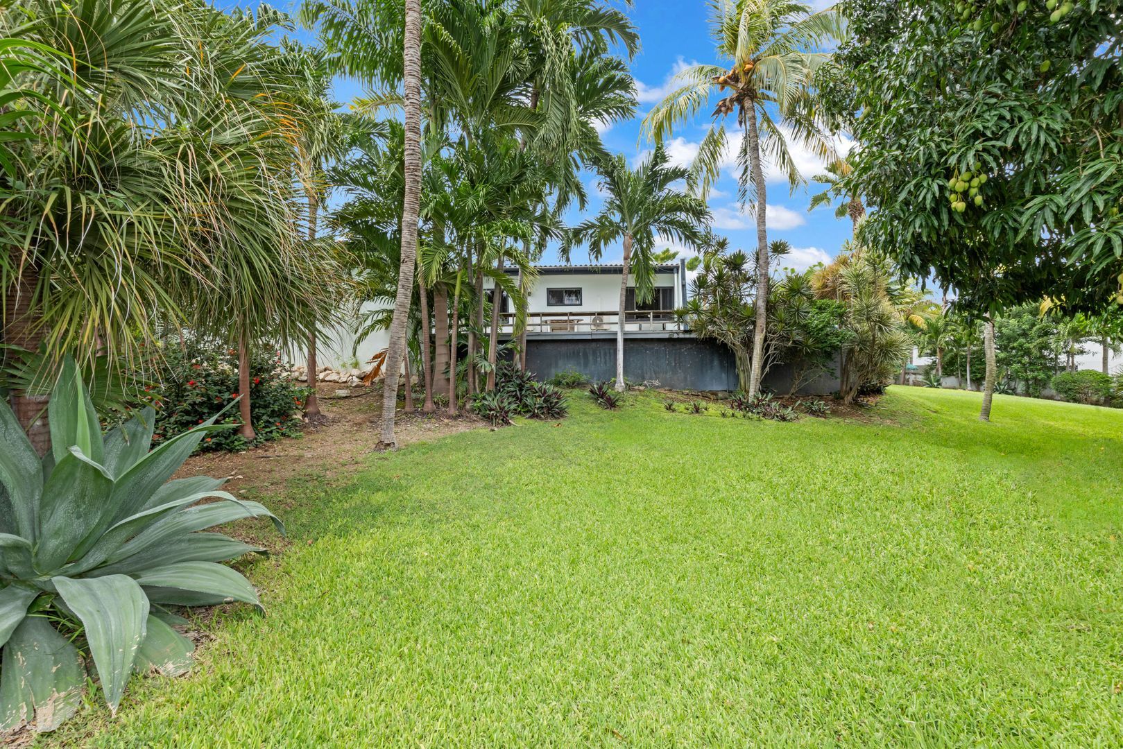 Kaya Rooi Catootje, Rooi Catootje foto-34