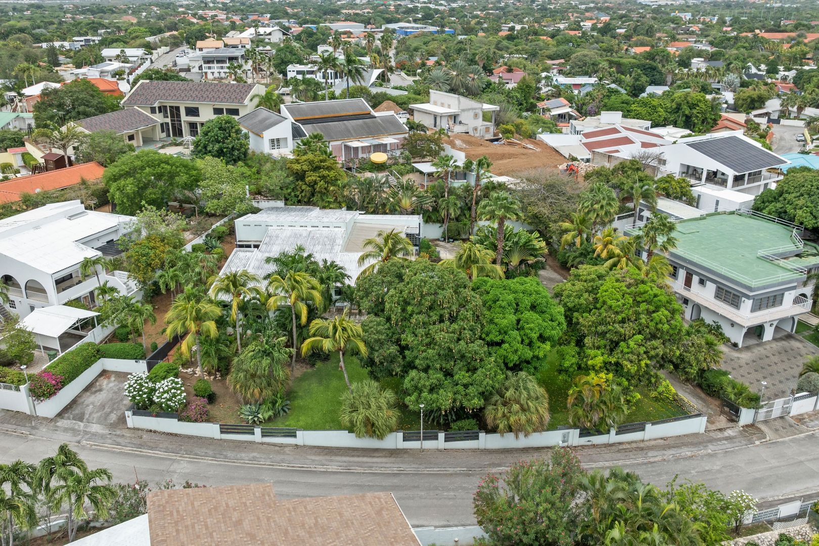 Kaya Rooi Catootje, Rooi Catootje foto-0