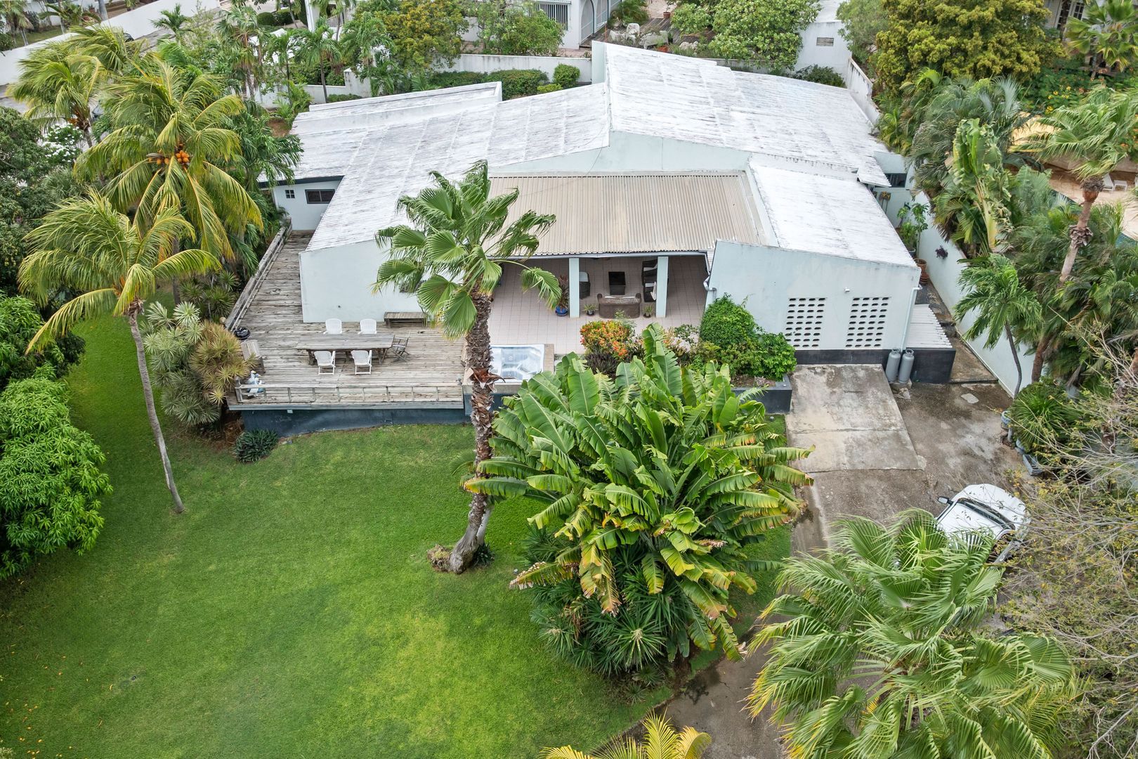 Kaya Rooi Catootje, Rooi Catootje foto-6