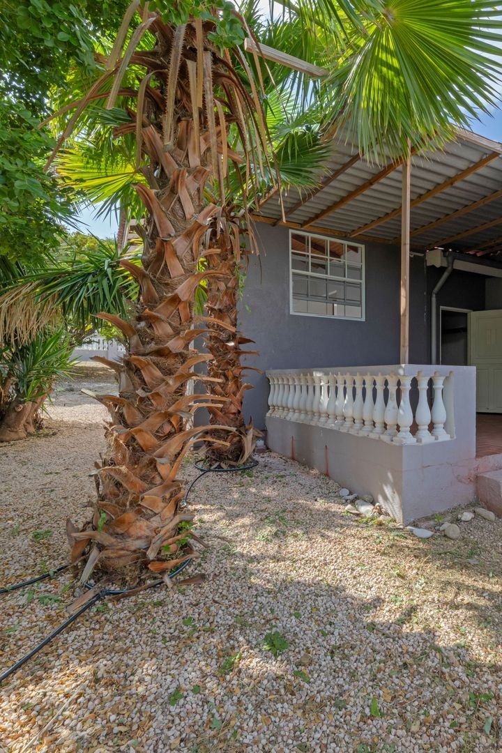 Kaya Mozart 5, Cas Grandi foto-52