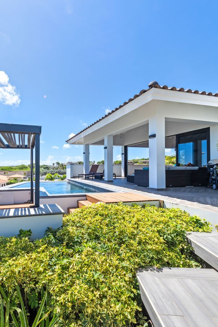 Kaya Dornfelder, Damasco foto-83