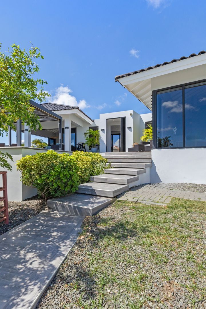 Kaya Dornfelder, Damasco foto-84