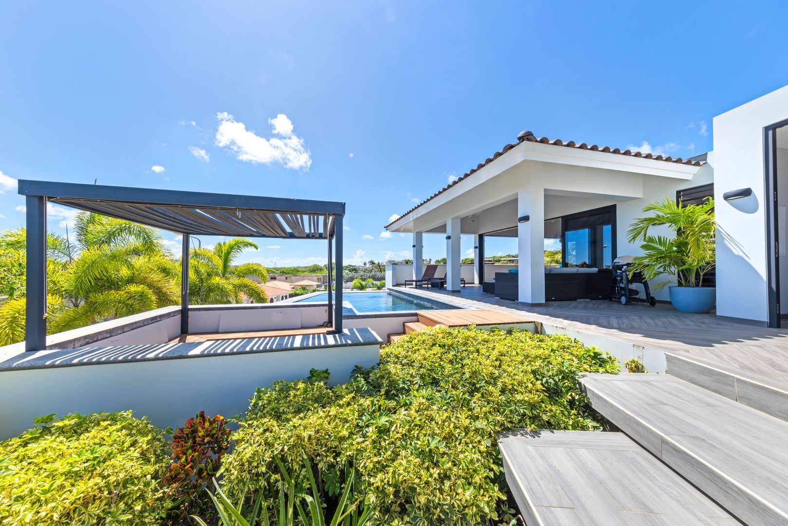 Kaya Dornfelder, Damasco foto-4