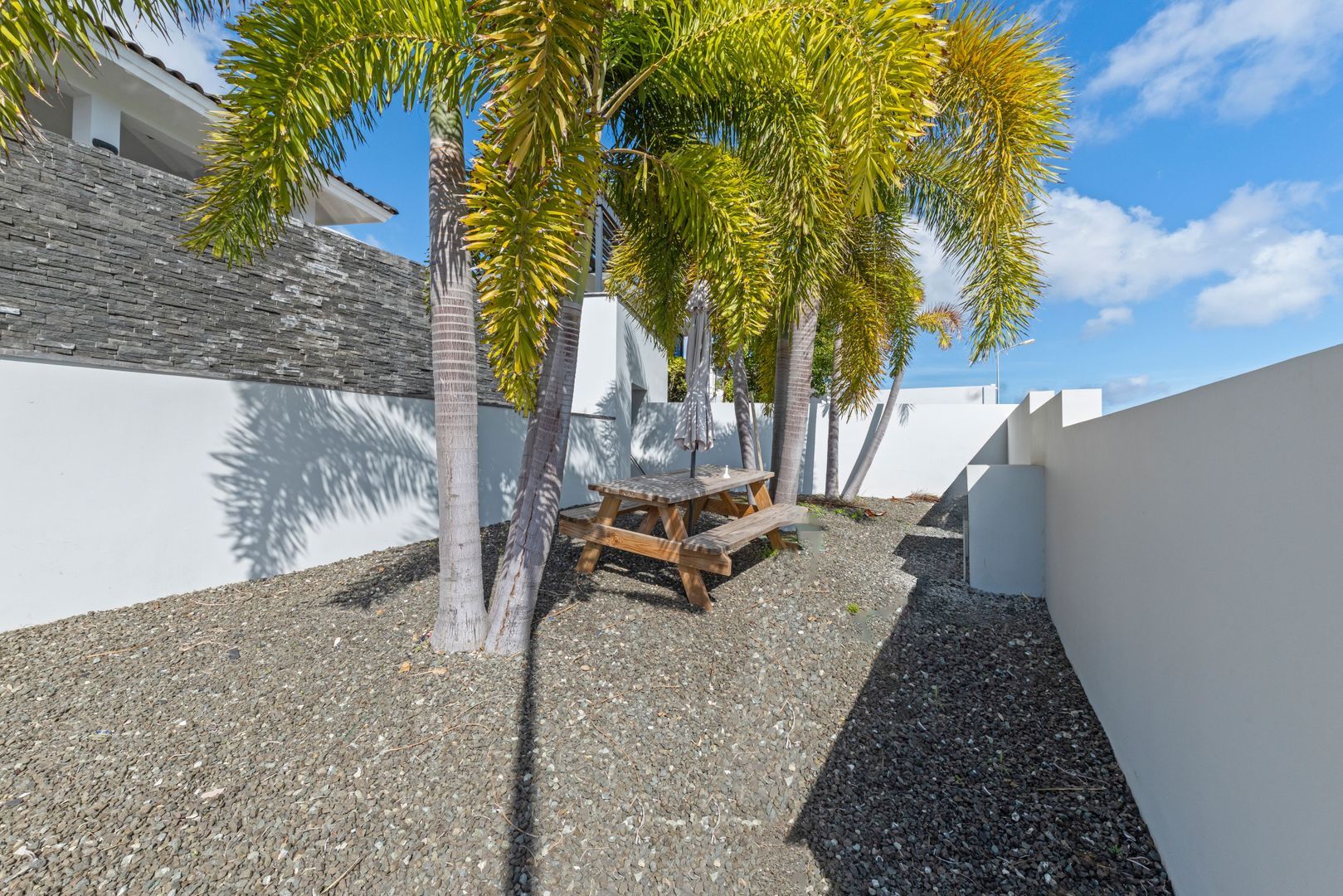 Kaya Dornfelder, Damasco foto-74