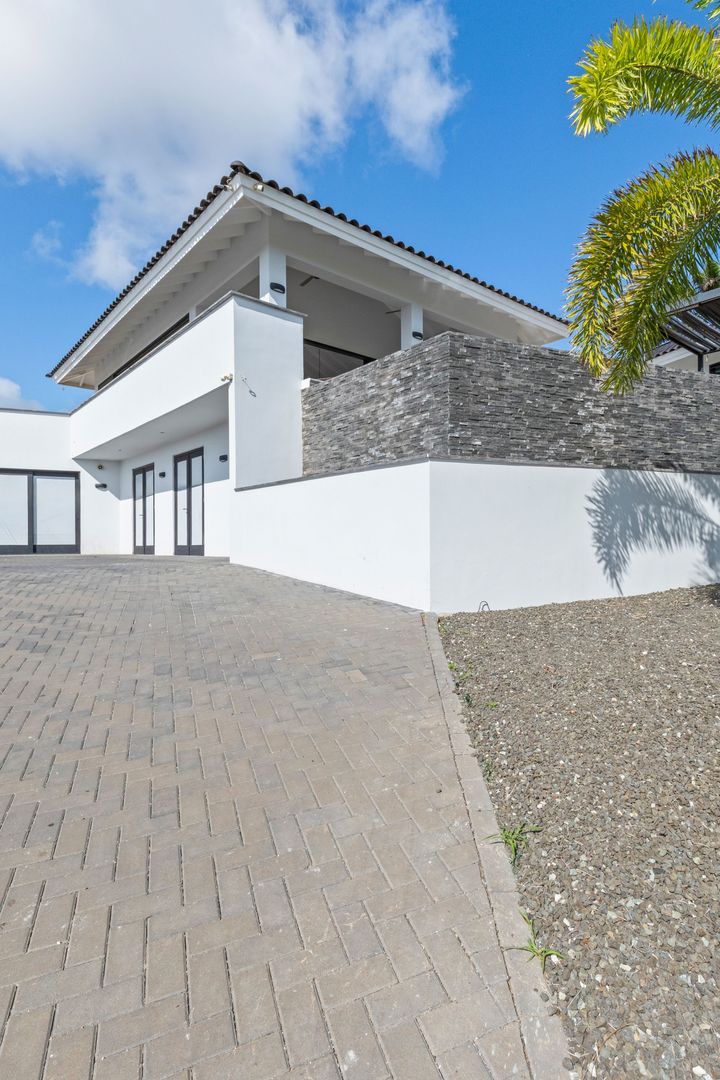 Kaya Dornfelder, Damasco foto-96