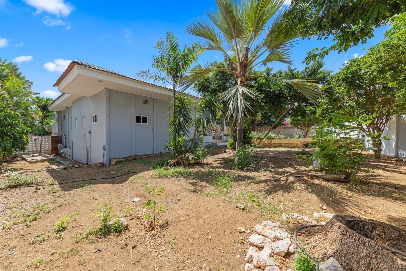 Trompetbloemweg 4 A, Curacao foto-56