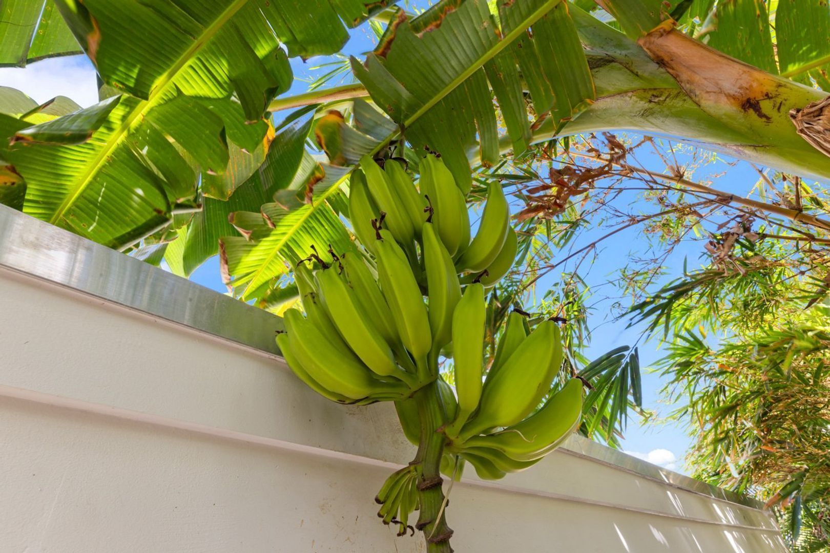 Jan Sofat 128, Jan Sofat foto-61