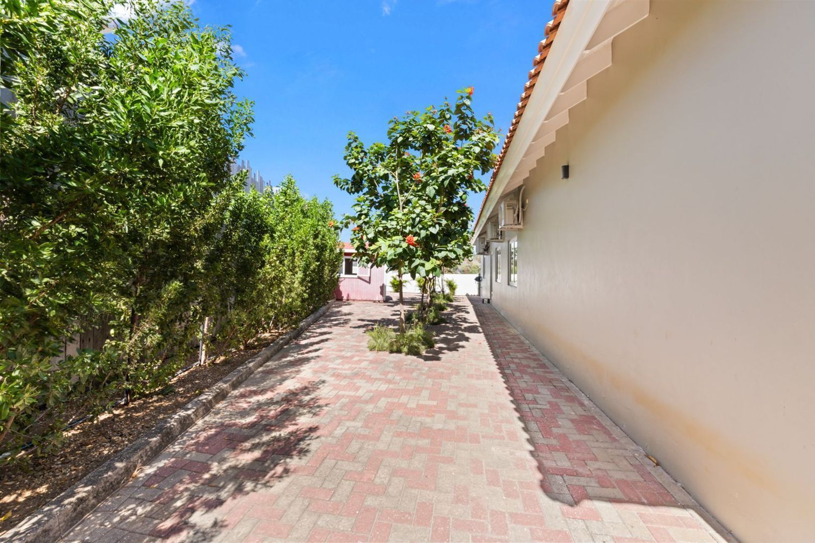 Jan Sofat 128, Jan Sofat foto-59