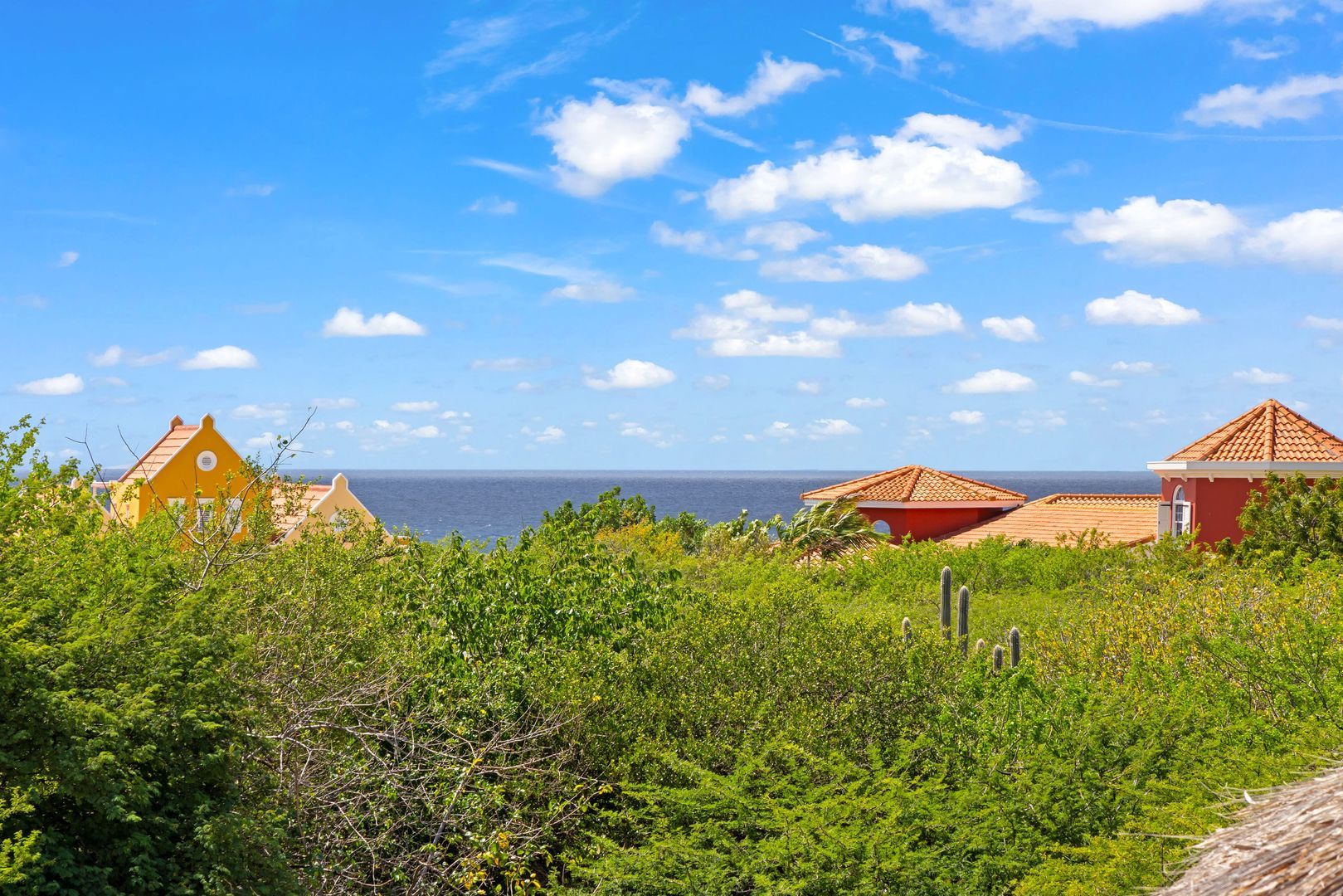 Coral Estate 43, Coral Estate foto-64