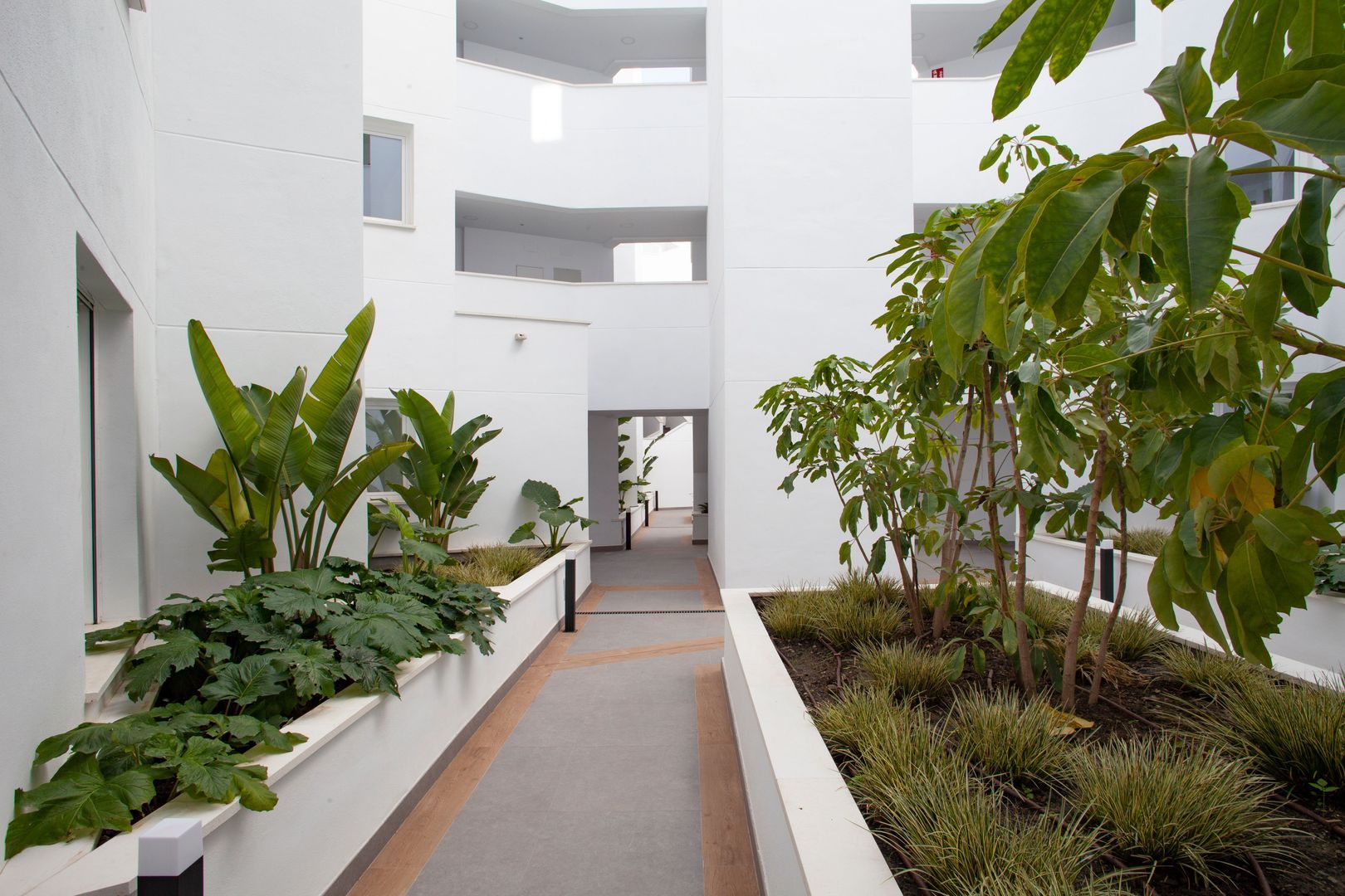 Last Unit.  Turnkey Seaview Apartments, Torrox Costa (Málaga) foto-35