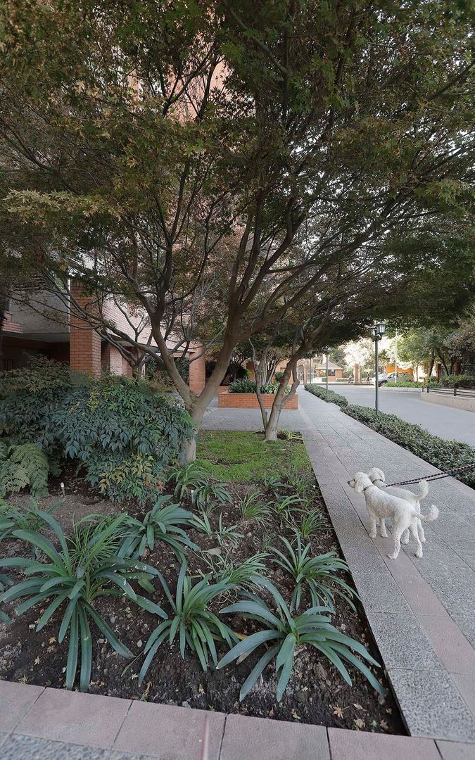 Espoz, Santiago foto-27