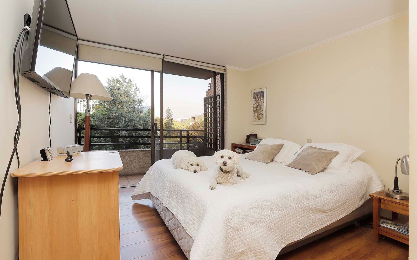 Espoz, Santiago foto-17