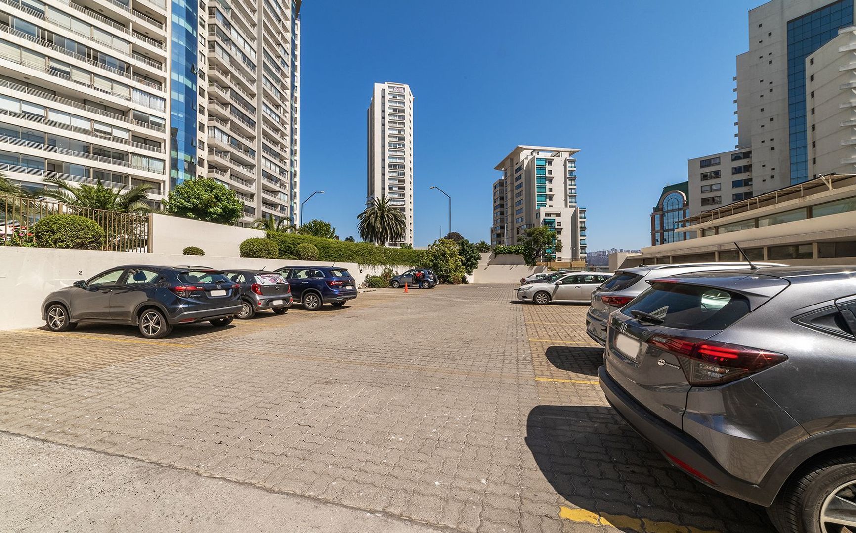 Coraceros, Viña del Mar foto-38