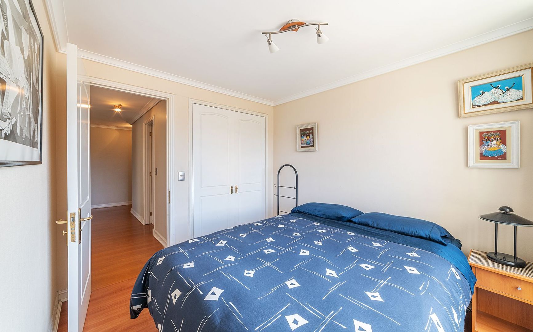 Coraceros, Viña del Mar foto-12