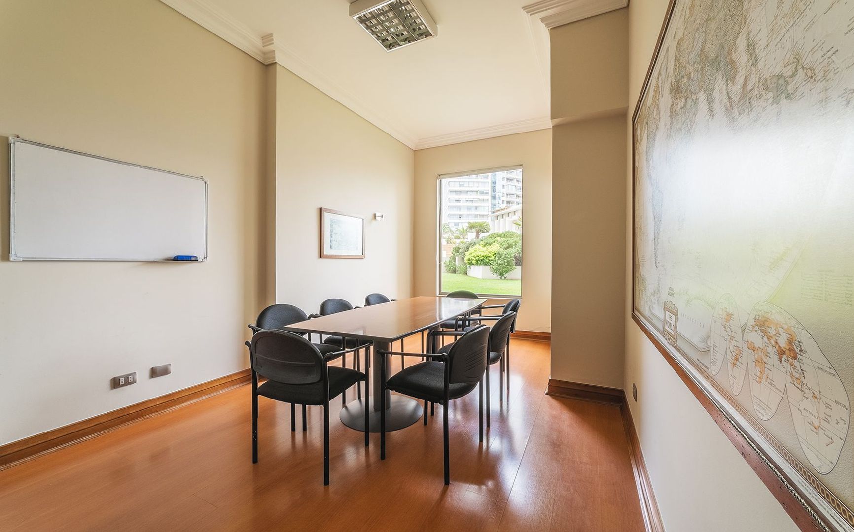 Coraceros, Viña del Mar foto-29