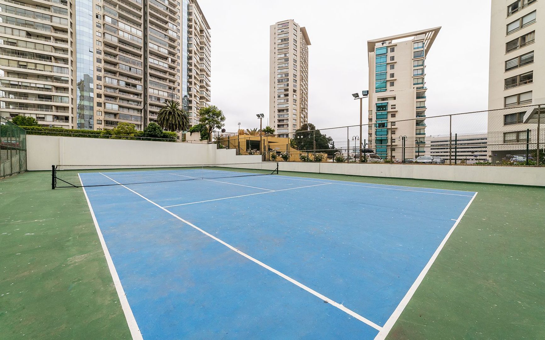 Coraceros, Viña del Mar foto-30