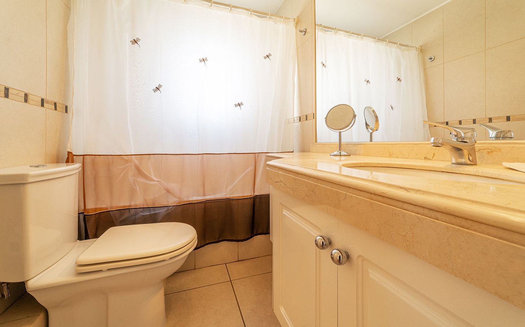 Coraceros, Viña del Mar foto-17