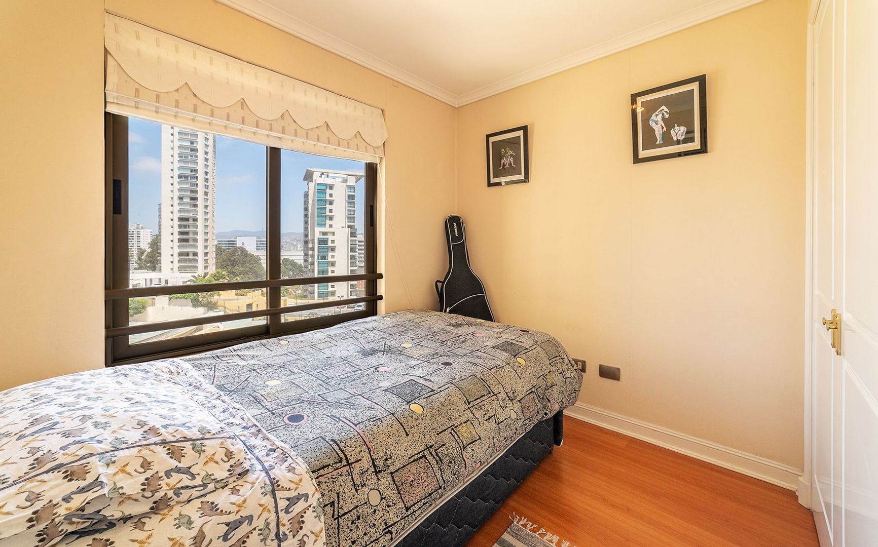 Coraceros, Viña del Mar foto-10