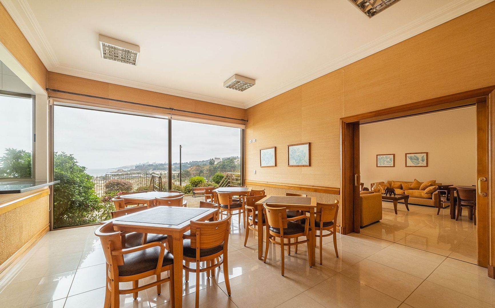 Coraceros, Viña del Mar foto-25