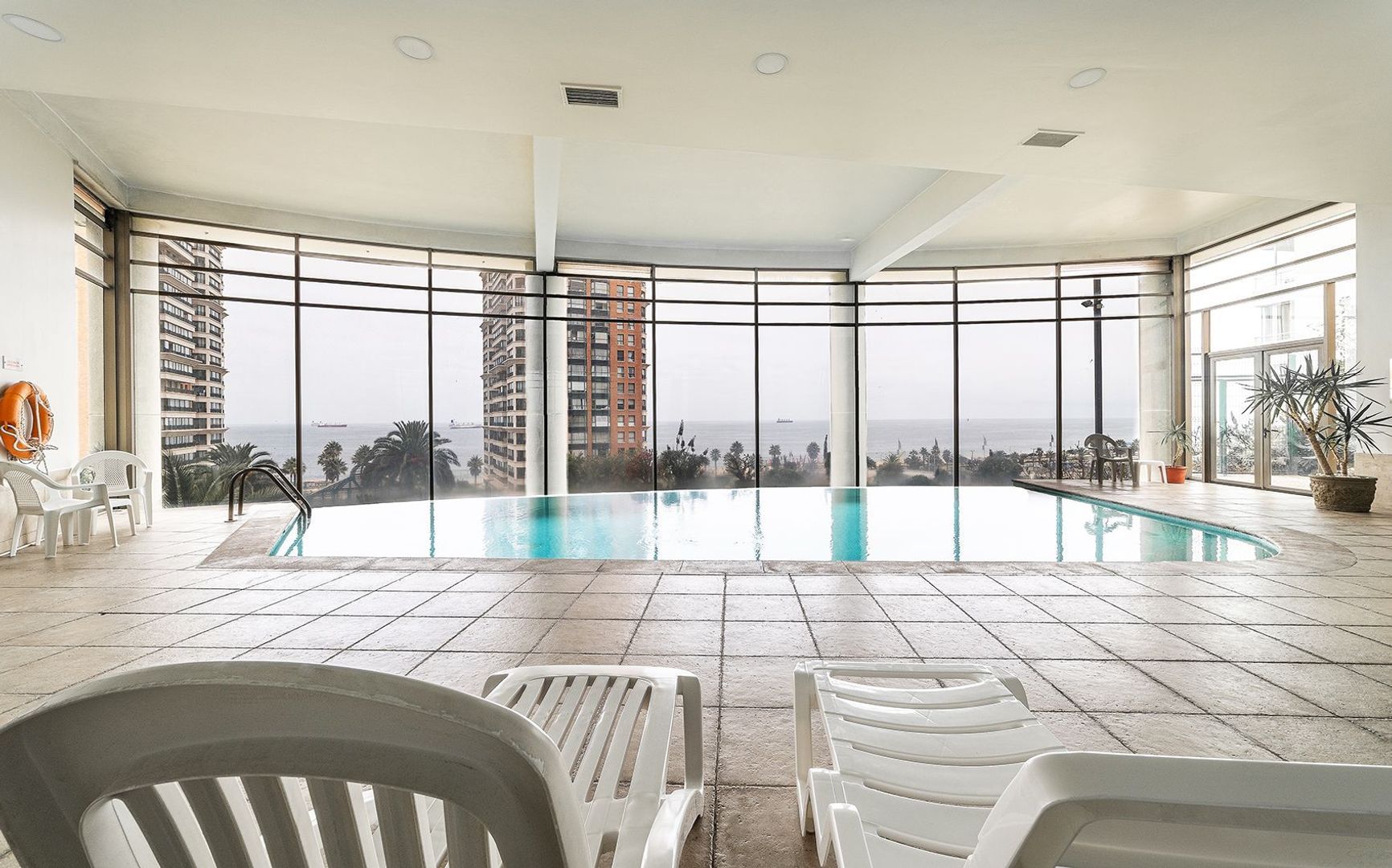 Coraceros, Viña del Mar foto-22