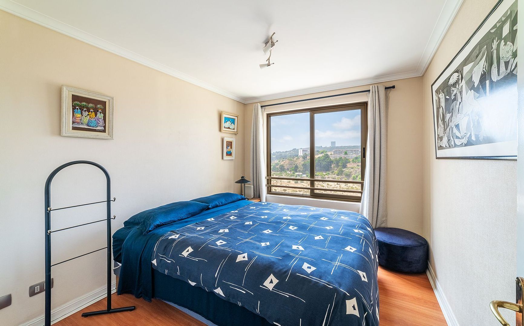 Coraceros, Viña del Mar foto-13