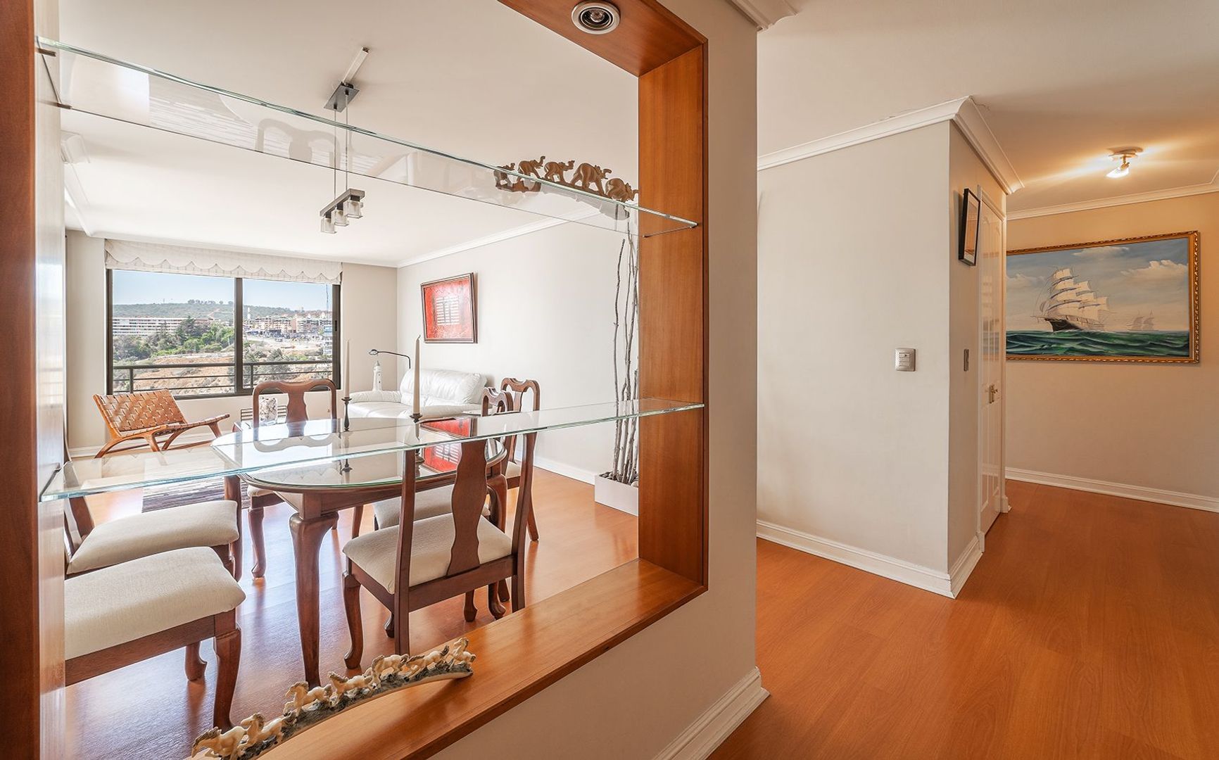 Coraceros, Viña del Mar foto-5