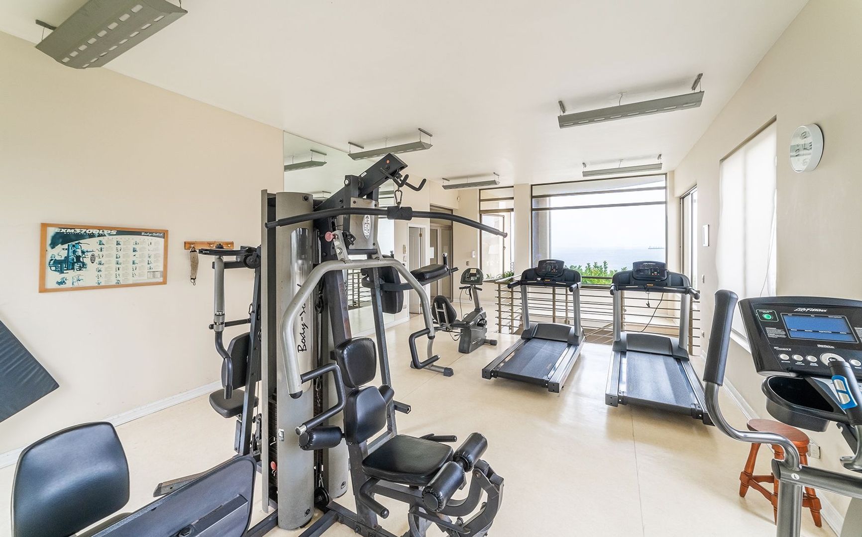 Coraceros, Viña del Mar foto-31