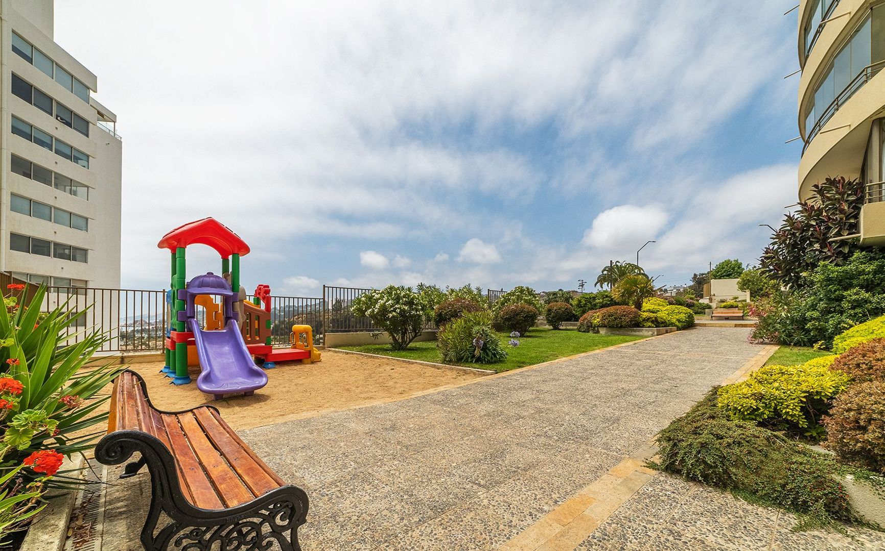 Coraceros, Viña del Mar foto-33