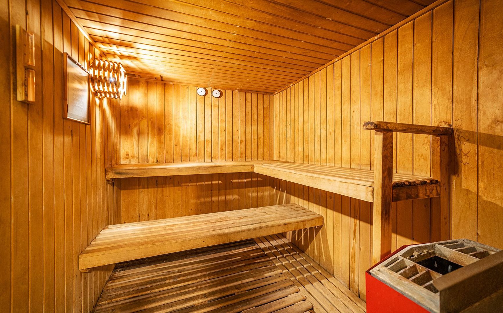 Coraceros, Viña del Mar foto-20