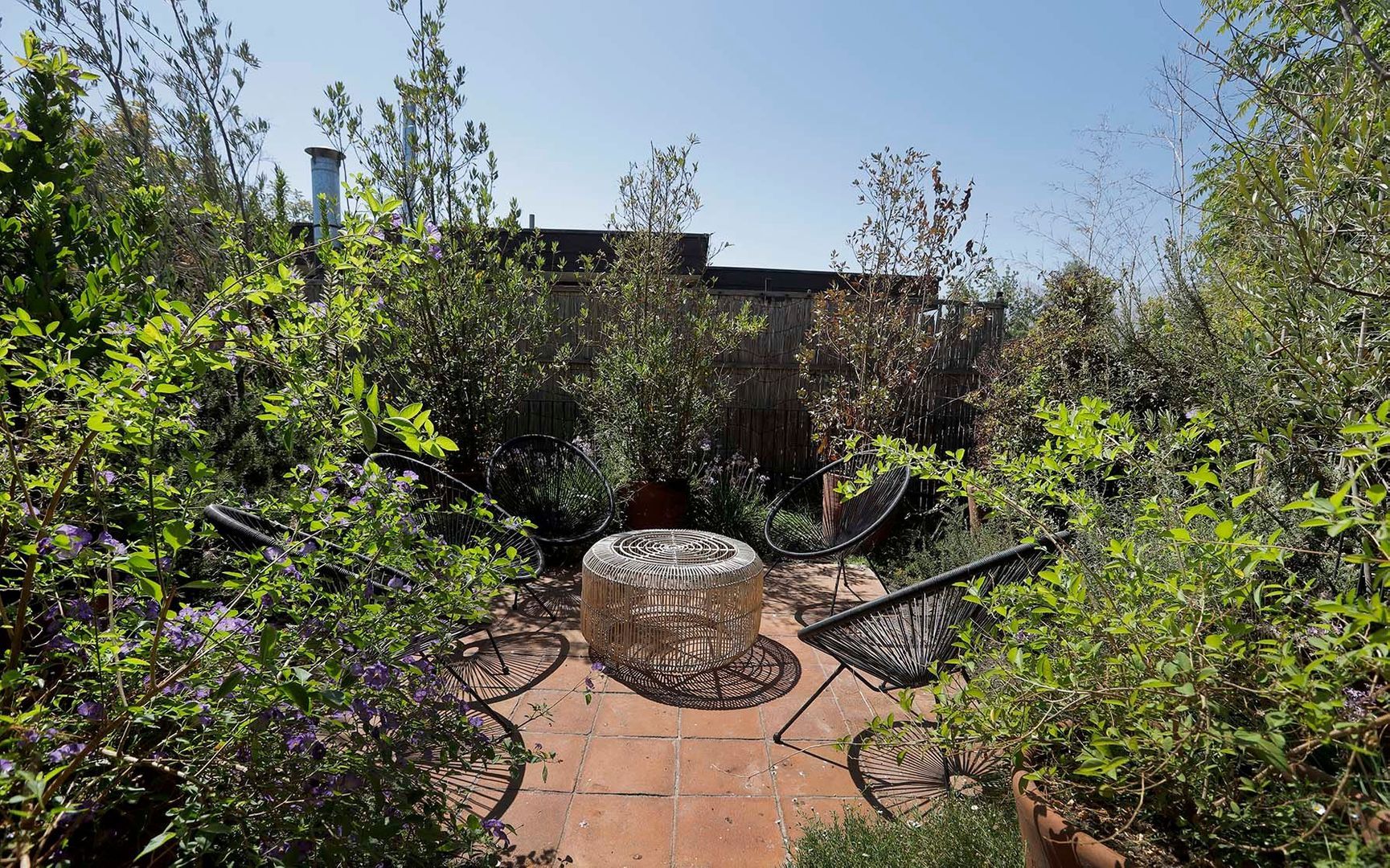 Buenaventura, Vitacura foto-24