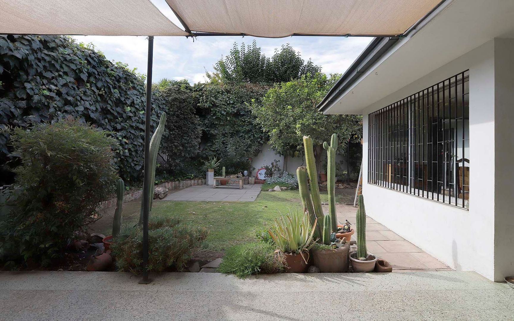 Las Pimpinelas, Santiago foto-14