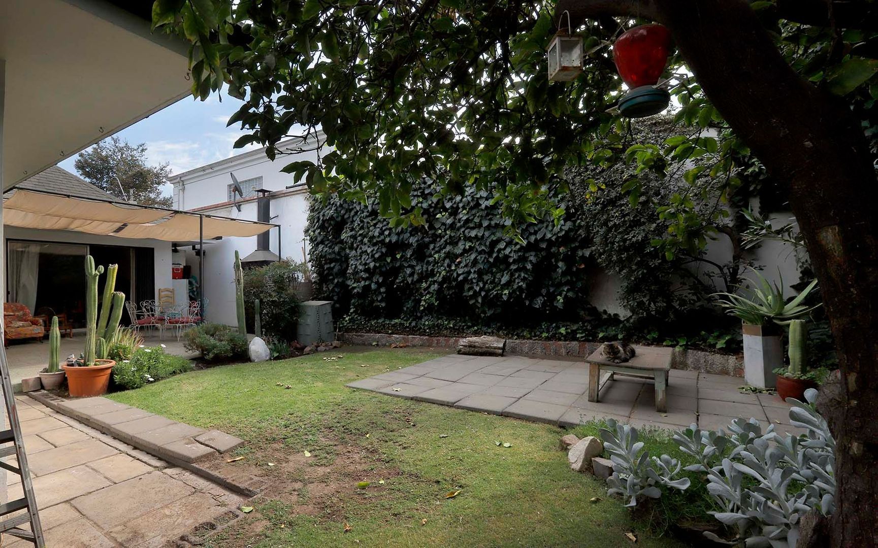 Las Pimpinelas, Santiago foto-13