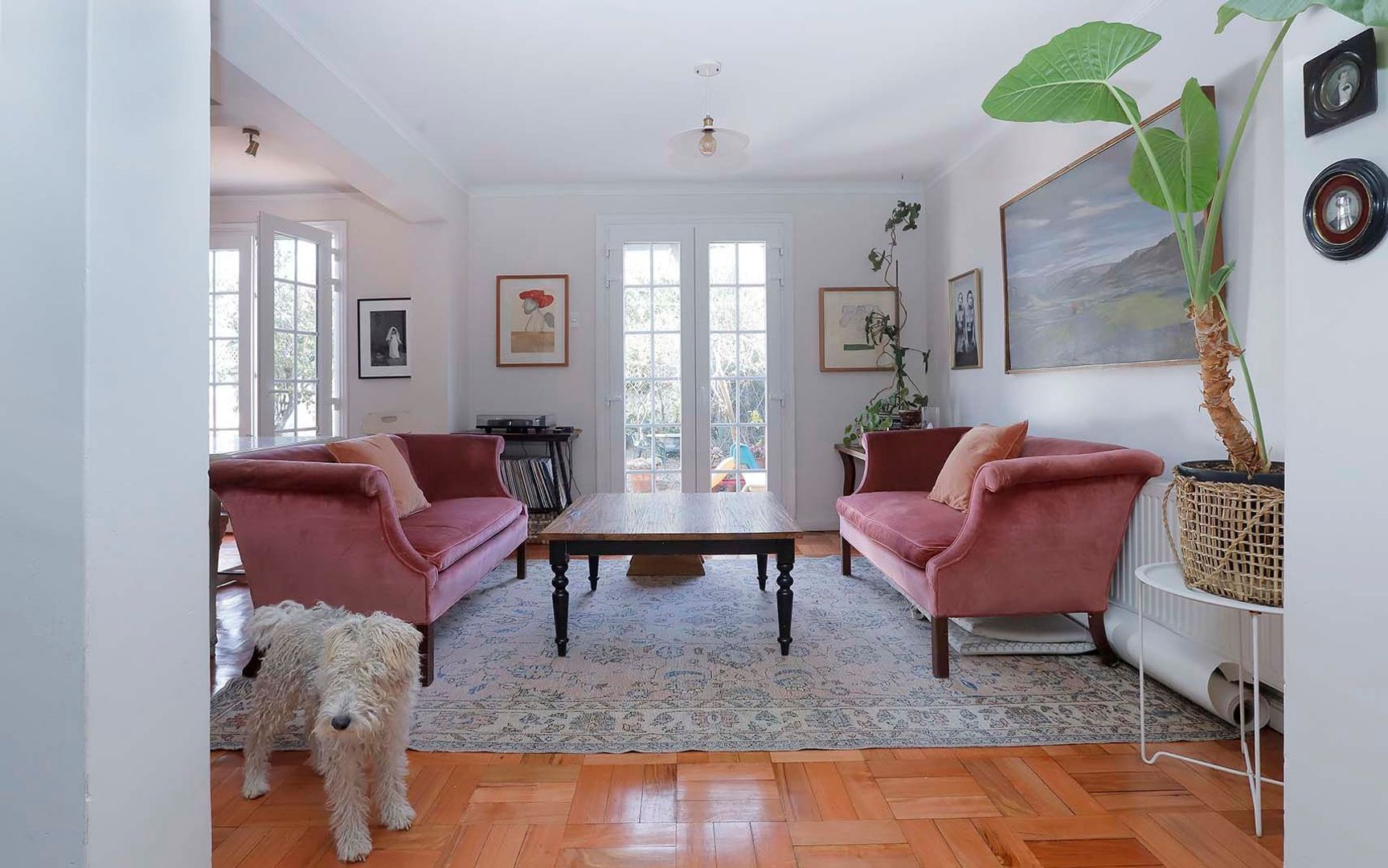 García Moreno, Santiago foto-0