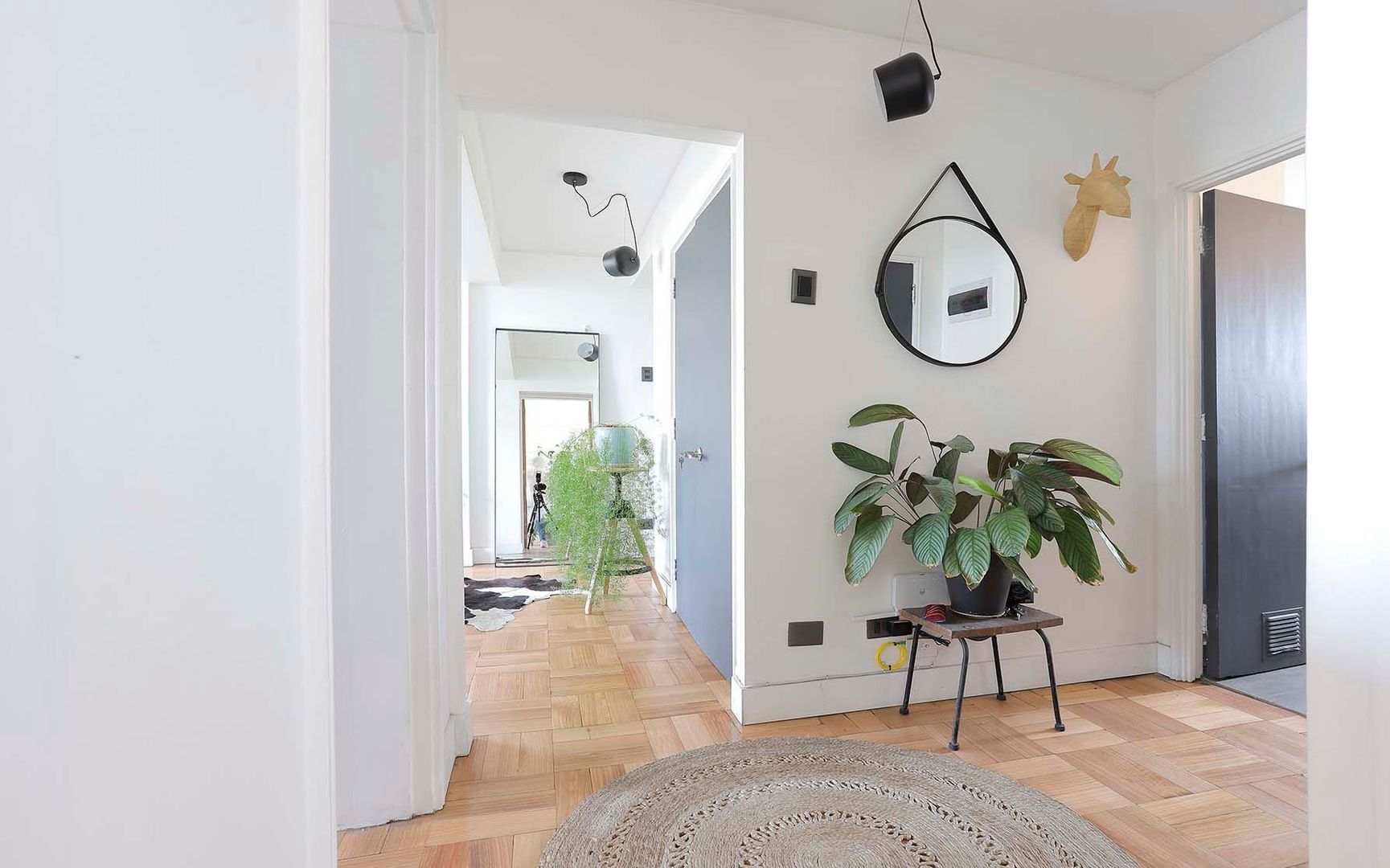 Avenida Providencia, Providencia foto-5