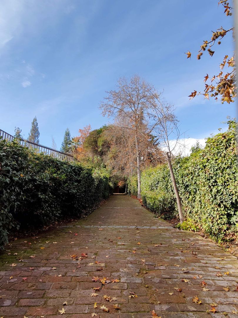 Fernández Concha, Santiago foto-39