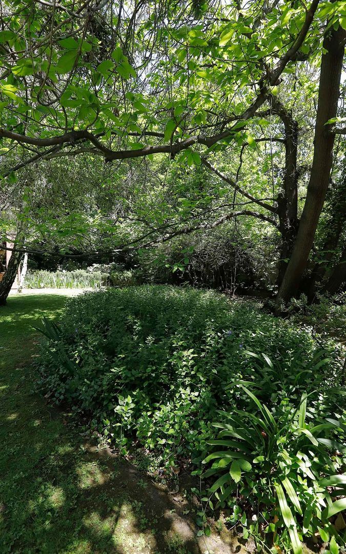 Fernández Concha, Santiago foto-40