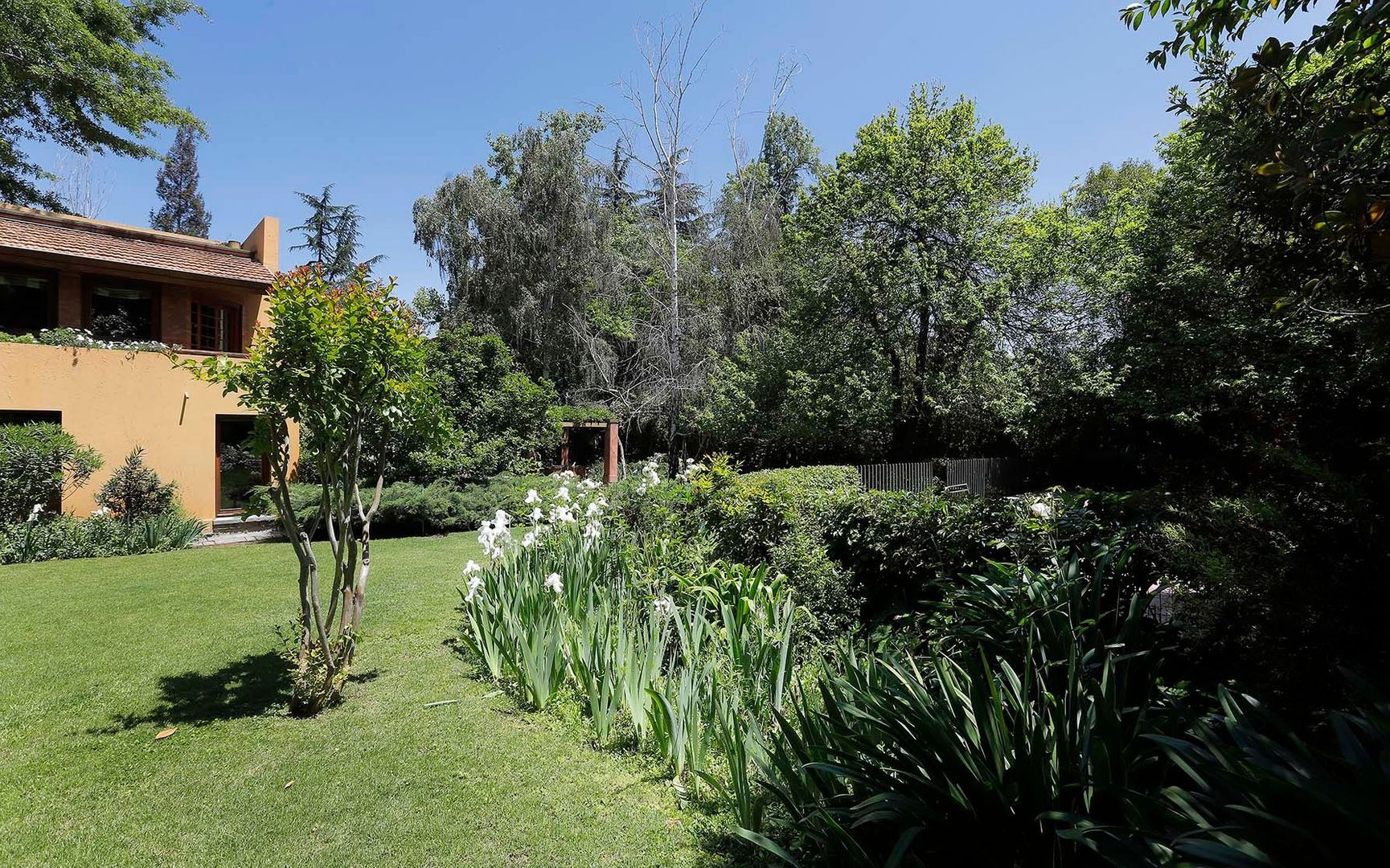 Fernández Concha, Santiago foto-57