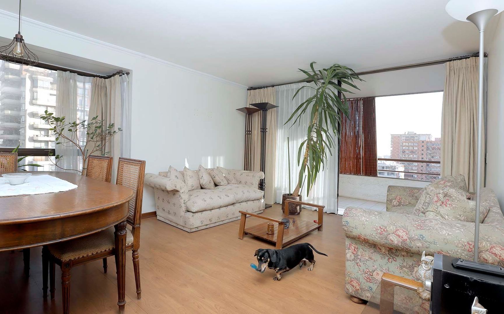 Av. Cristóbal Colón, Santiago foto-4