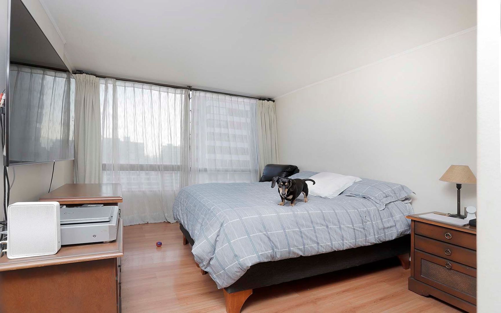 Av. Cristóbal Colón, Santiago foto-9