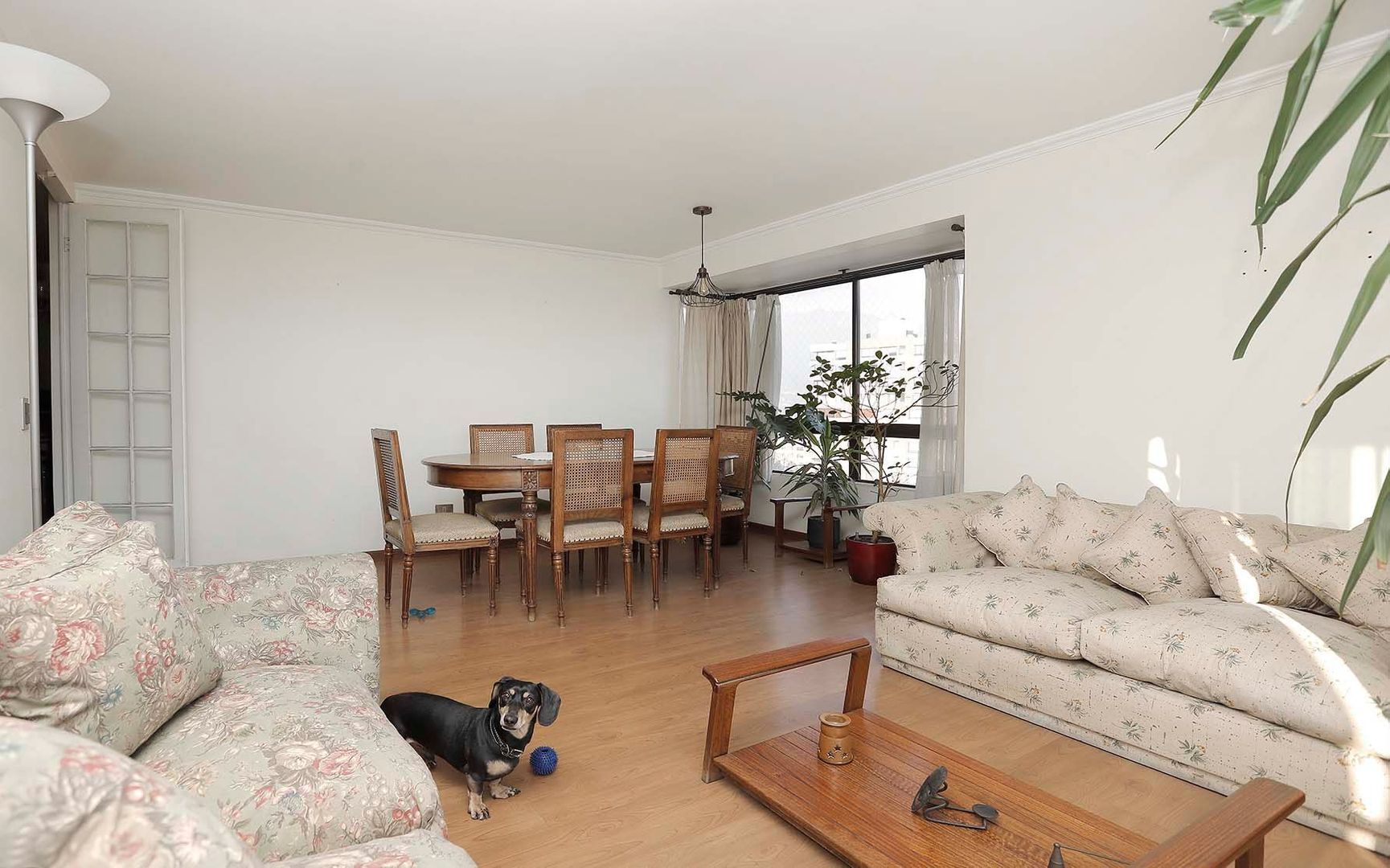 Av. Cristóbal Colón, Santiago foto-0